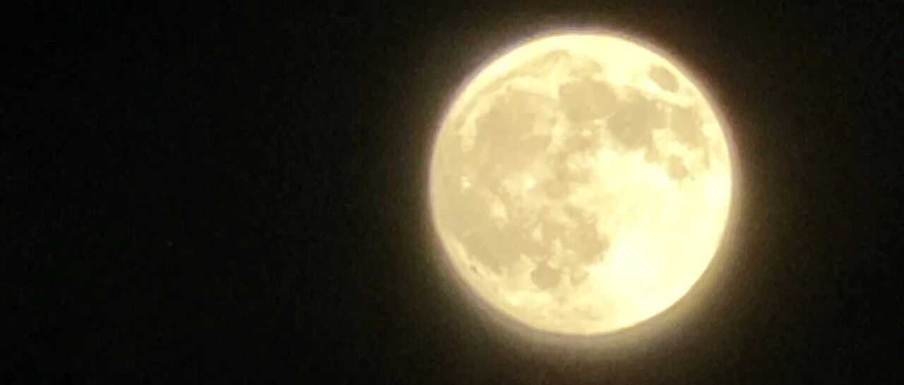 特朗普新政下首例重判：加州服装进口商低报货值 高管领刑并缴巨额罚金