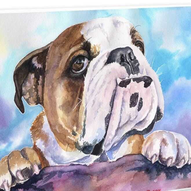 【25-cv-12479】3张爆款动物插画侵权预警，Keith律所代理Georgii Diachenko发起版权TRO维权！