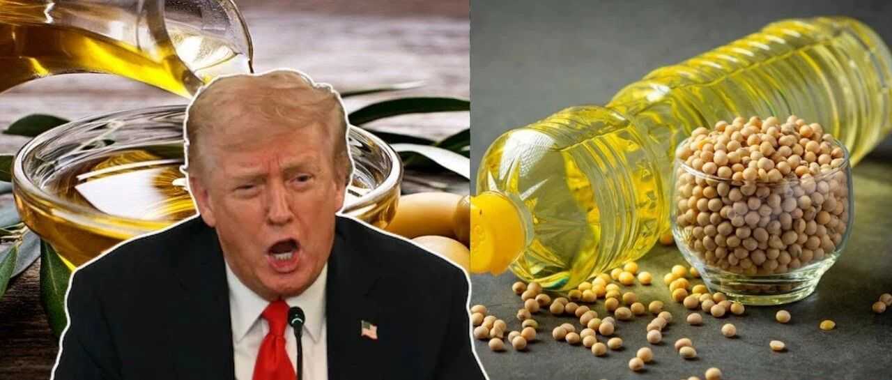 深度解析：中美食用油贸易真实情况盘点