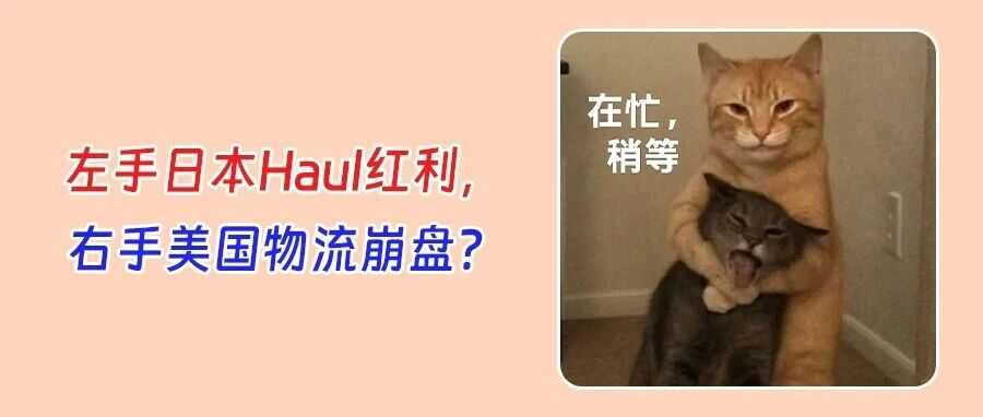 亚马逊Haul登陆日本迎机遇！美国政府停摆引爆跨境危机！卖家如何破局？