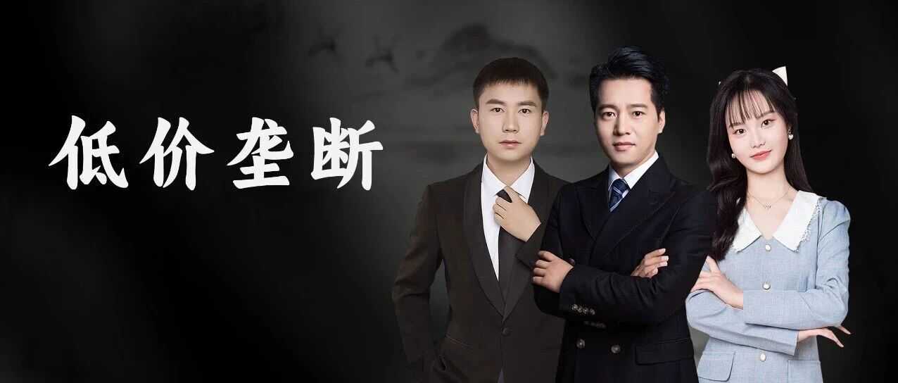 “低价垄断”类目，我们如何实现盈利破局？