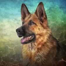 【25-cv-12943】4张动物肖像作品发起维权，Anna Averianova 加入跨境侵权 “狙击战”！