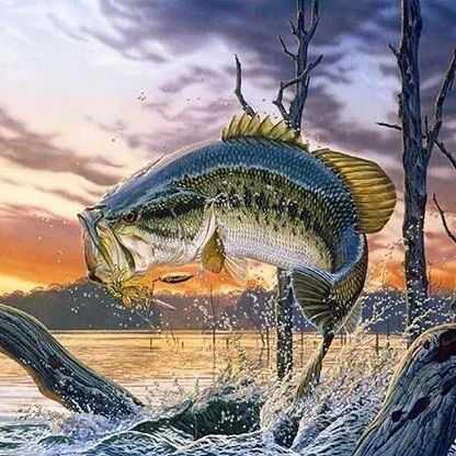 【25-cv-12768】7 张野生动物插画TRO维权，Al Agnew作品侵权高危，跨境卖家速查！