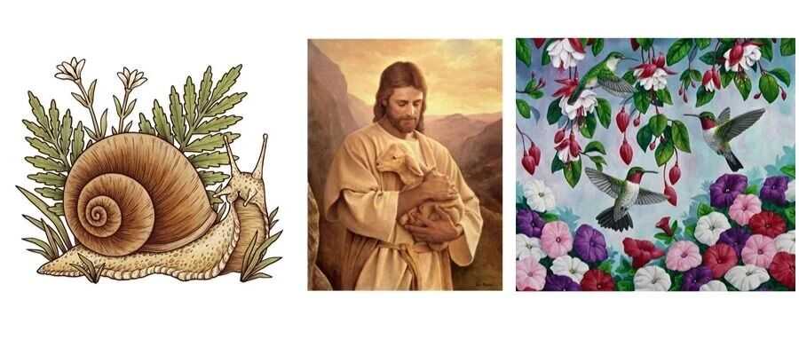 560位卖家已经中招TRO，这些图片通通不能用！