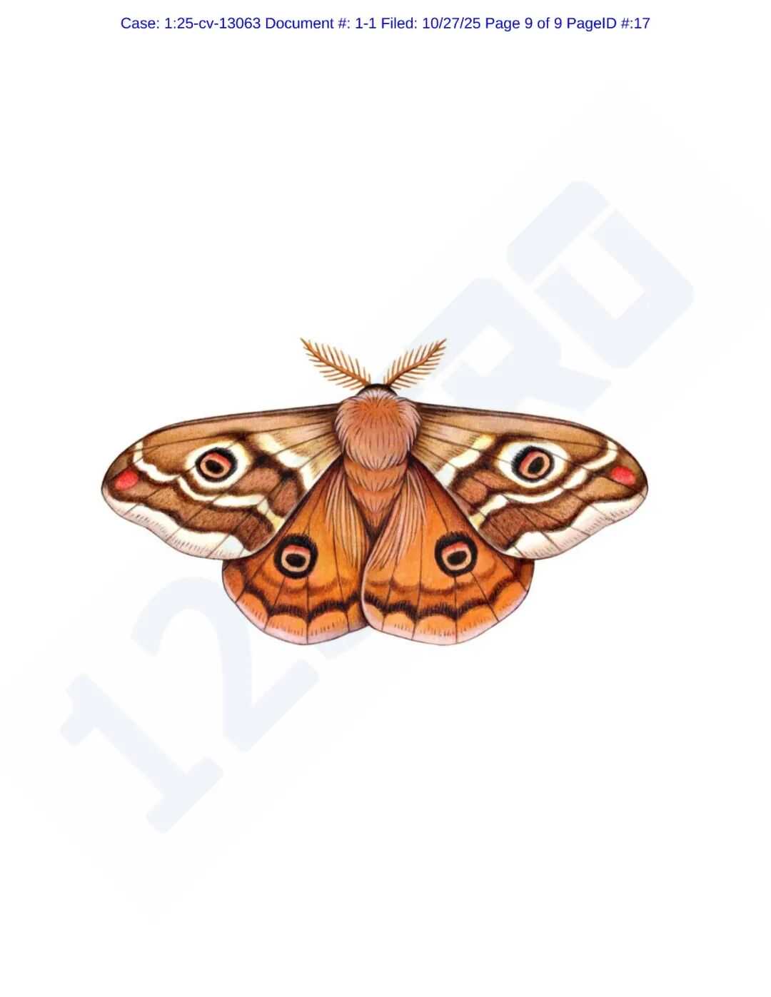 560位卖家已经中招TRO，这些图片通通不能用！