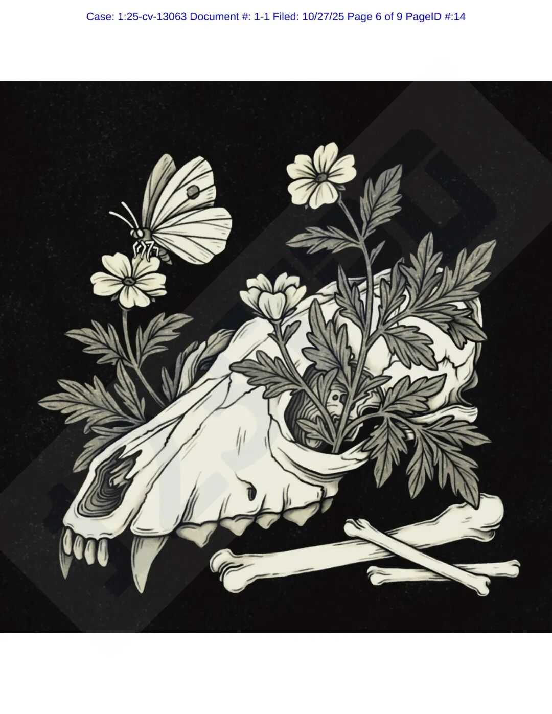 560位卖家已经中招TRO，这些图片通通不能用！