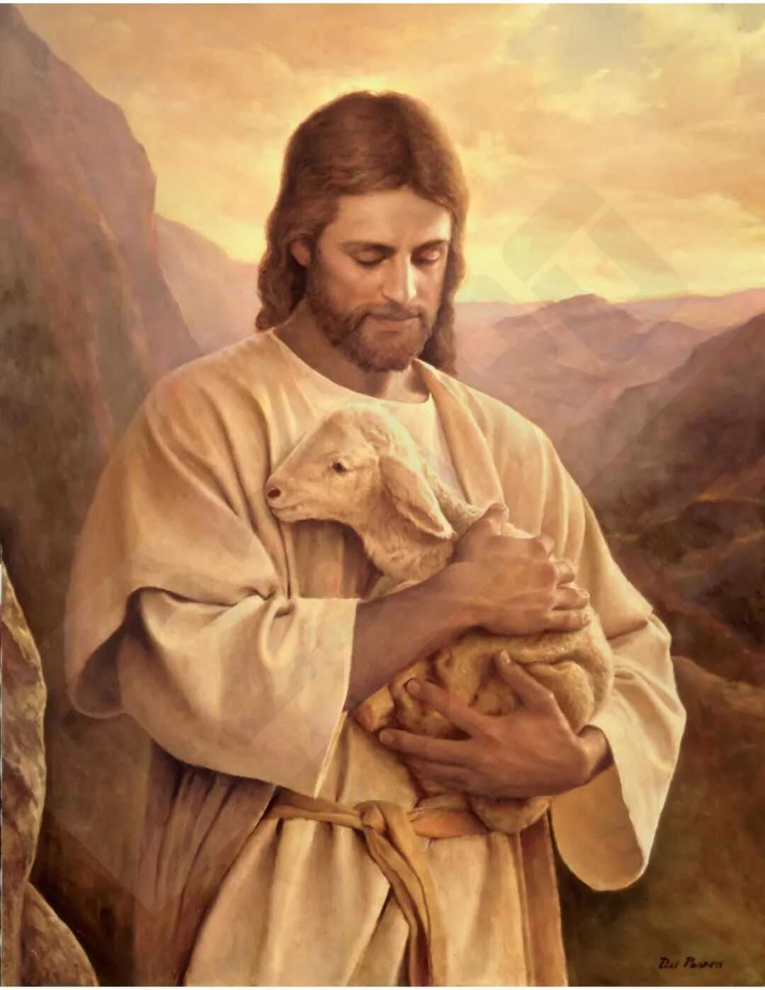 560位卖家已经中招TRO，这些图片通通不能用！