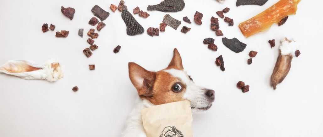 跨境卖家注意！这些新作品你上架了吗？维权已经开始