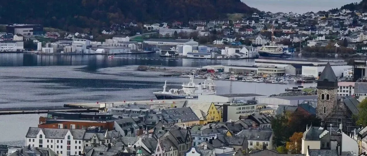 3张表格讲清楚两类企业纳税人在跨境税务实操中的性价比！