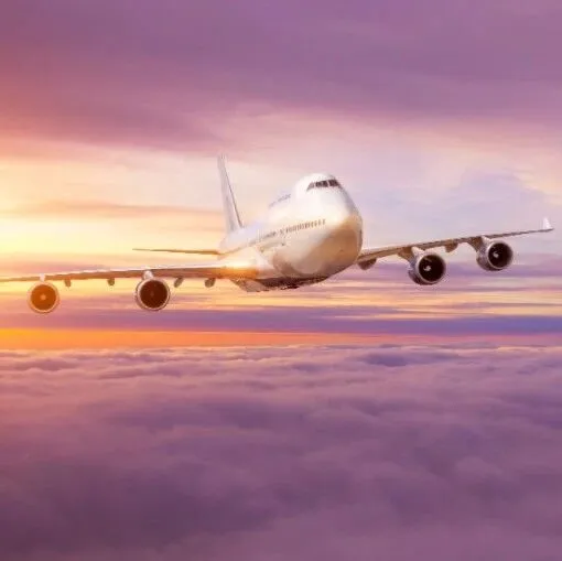 美国航空货代警告：由于政府继续关闭，货物积压愈发严重