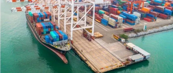 超大规模！国际大货代宣布裁员3万人！