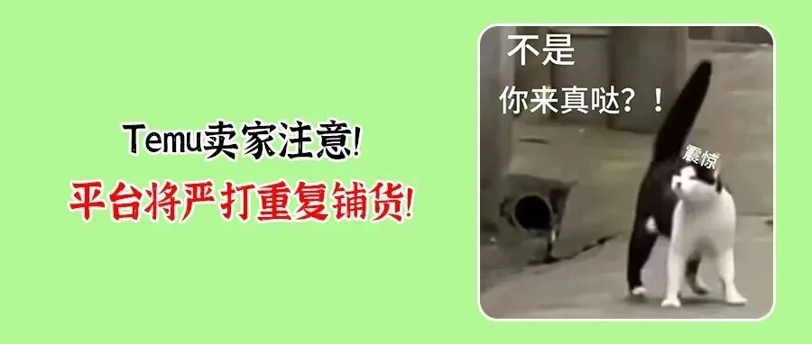 Temu重拳出击整顿铺货！美国线上价格两年首涨，卖家出路何在？