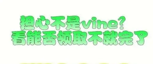 亚马逊Vine评论升级全解析：如何合法突破30条评论上限？