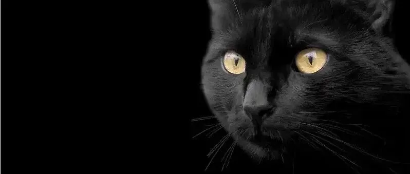 大批卖家收到税务局预警!