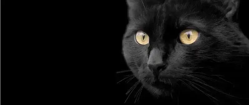 大批卖家收到税务局预警！