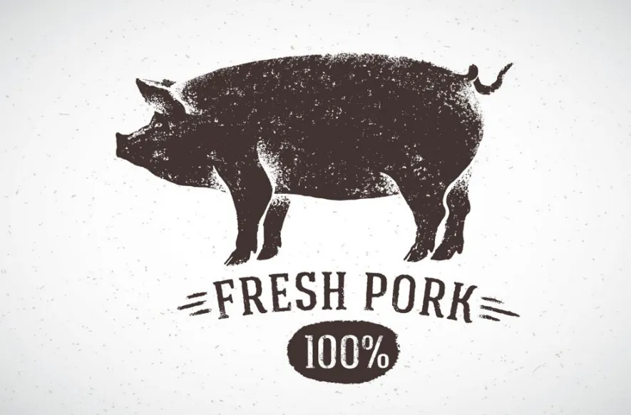 Keith首次代理插画家PAVEL IVANOVICH ZHOVBA发起版权诉讼，涉及14张版权图