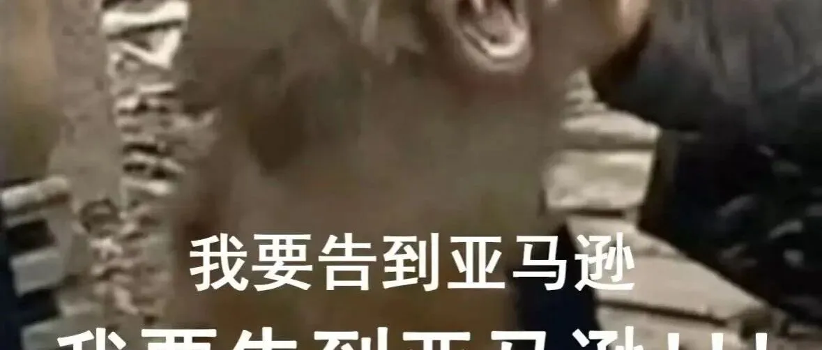 跨境人必存的爆笑表情包，赶紧收藏！