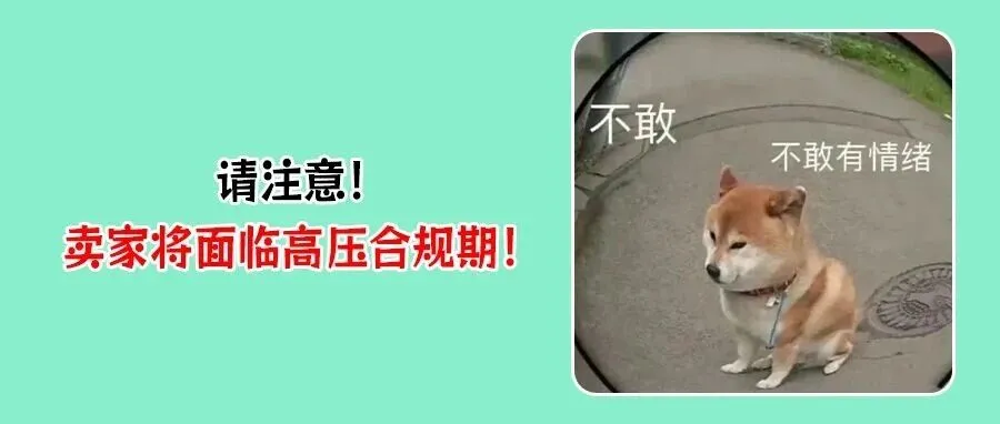 TikTok美区掀起“二审风暴”,墨西哥天价关税来袭!跨境卖家迎双重暴击!