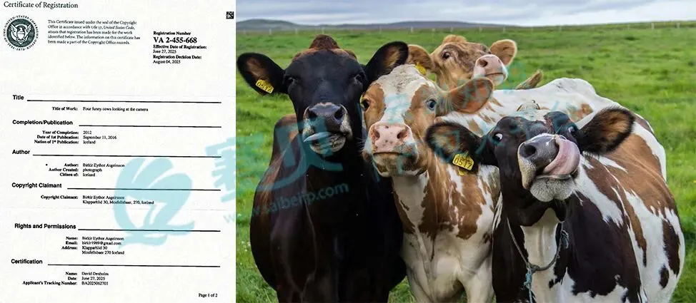 【25-cv-13459】四头奶牛看镜头的趣味摄影作品发起TRO，Birkir Eythor Asgeirsson作品加入维权！