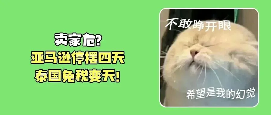 紧急!亚马逊Listing报错重创卖家!泰国宣布电商进口将全面征税!