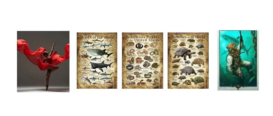 一天8案！Keith律所狂发版权TRO，这些图片用了就侵权，卖家速查！25-cv-13570、25-cv-13549