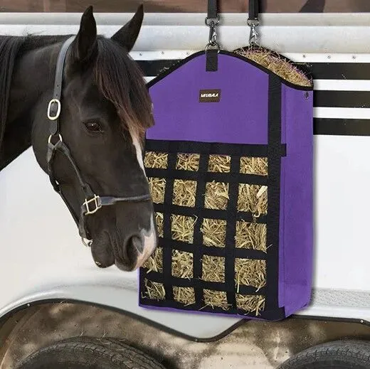 【25-cv-13069】Hay Bag马用干草袋专利+商标TRO维权，相关品类跨境卖家速查侵权风险!