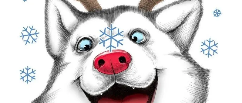 【25-cv-13210】5张动物形象创意插画TRO维权，Nikita Korenkov作品侵权风险高！