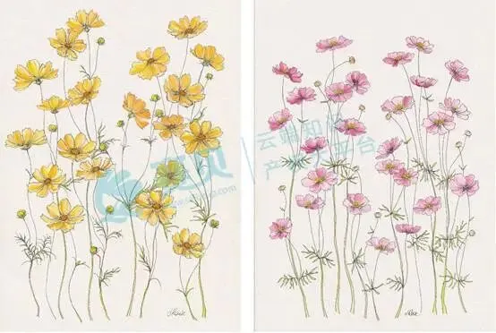 背景图案  AI 生成的内容可能不正确。