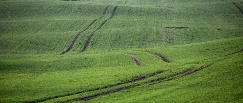 初创公司如何做生成式引擎优化(GEO)