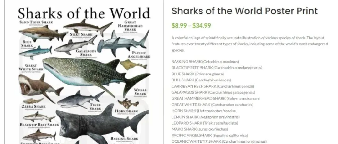 图案避雷：Keith律所全新四案涉12幅高危版权