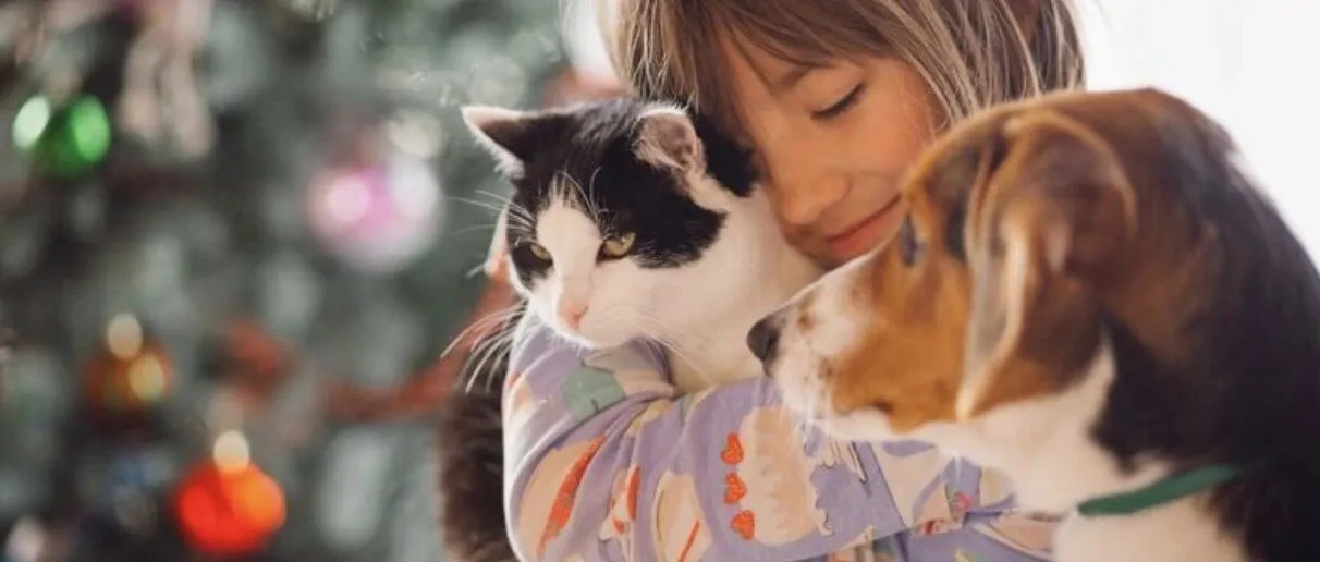 宠物经济新蓝海：玄学产品跨境爆单，有卖家28天狂揽53万！