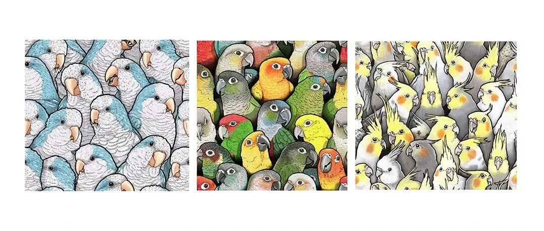 【侵权快讯】25-cv-13930 Keith全新版权案!这些趣味鹦鹉图片正在维权,速排查下架!