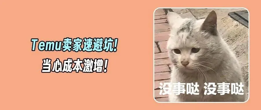 Temu新规速览:CSBS协议厘清包税疑点、体积重量偏差将面临重罚?