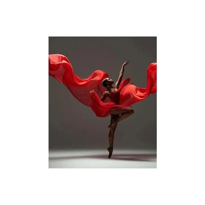 【侵权快讯】25-cv-13570 Rachel Neville摄影作品发案维权！这张红衣舞者的照片不能用了！