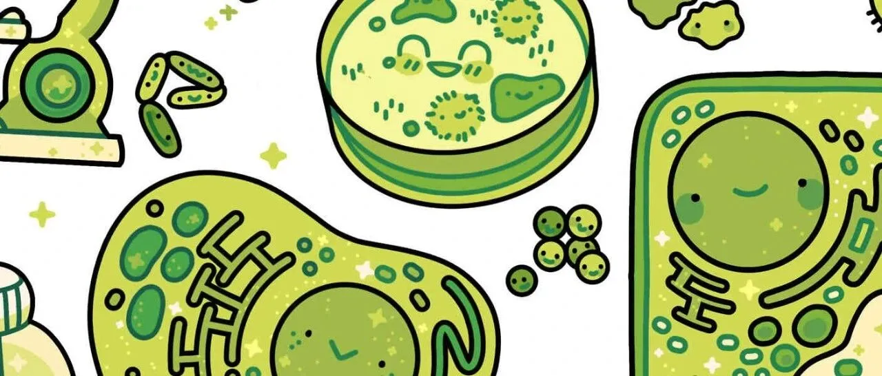 别碰Sara的插画！Keith律所最新维权案速报！