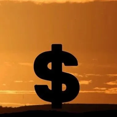 亚马逊紧急通知:EUDR合规倒计时;德国跨境小包征收23%的税