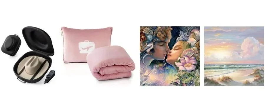 旅行帽盒暴雷；EverSnug 旅行毯连发6案维权商标和专利