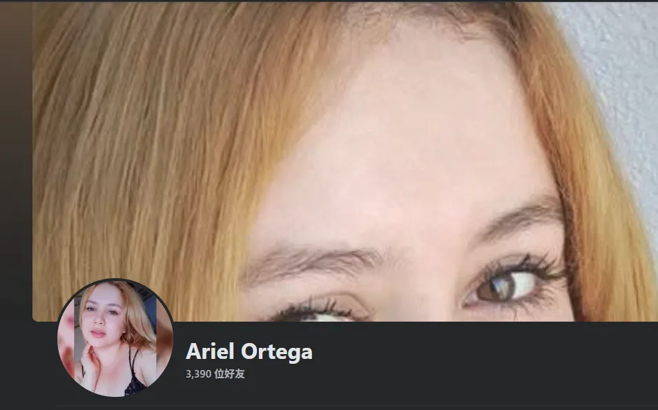 aritelorte4433 美国