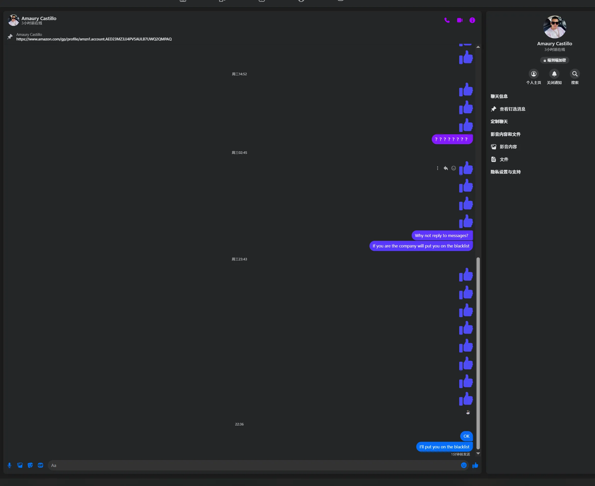 amaurycastillo1808 美国