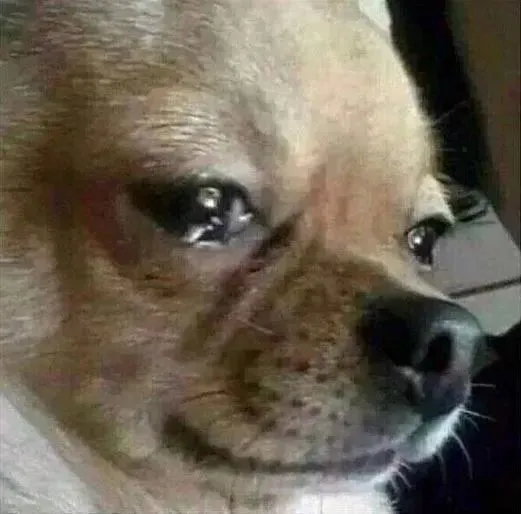 Gersonadolfo502 美国