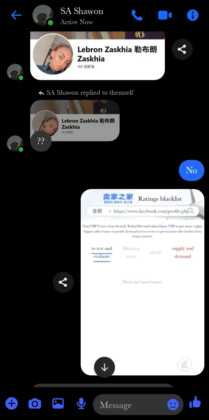 sa.shawon.200607 美国