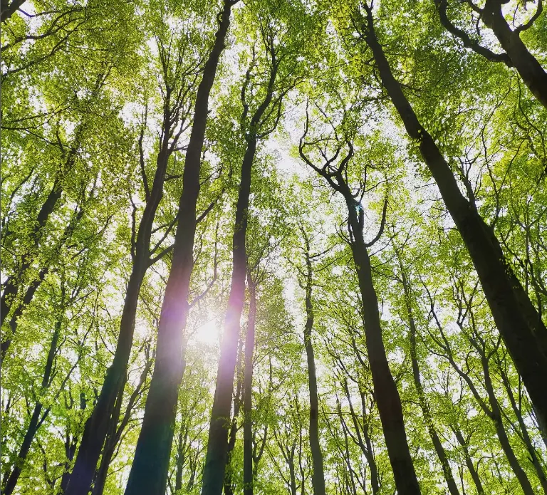 jesmir.lovera 美国