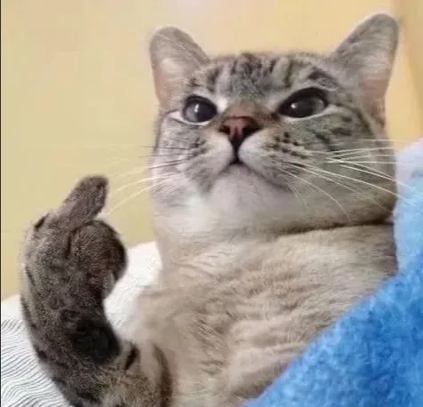 marjoriealanizmaradiaga 美国