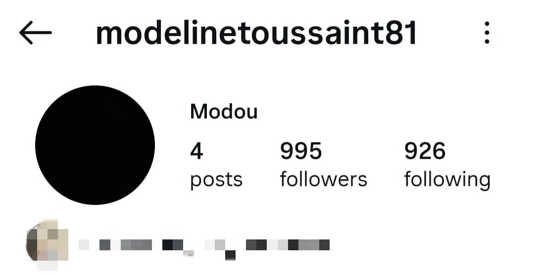 Modelinetoussaint81 美国