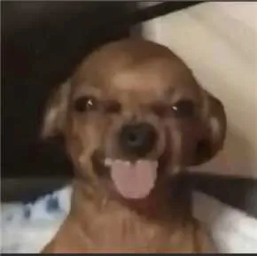 chanayarminan04 美国