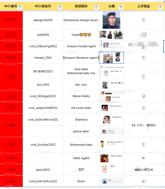 wxid_bzib1mi8voya22 美国