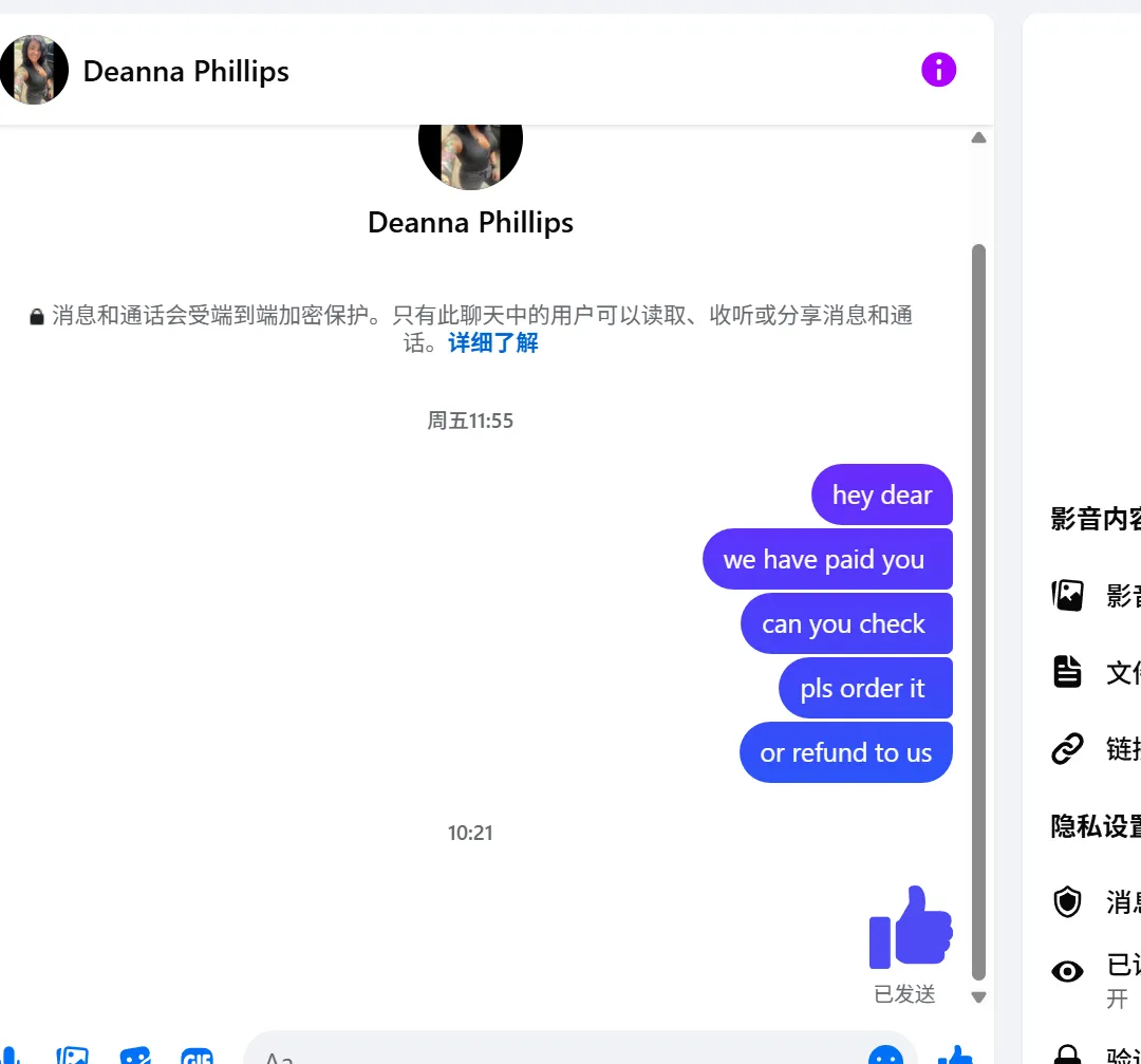 d3anna.phillips 美国