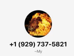 Clementgeorgeline5 美国