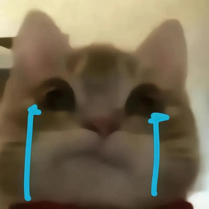 failingmasks556 美国