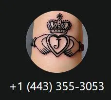 chinchillanoemi248 美国